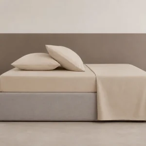 Sábana Class